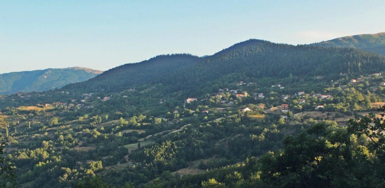 Hotel Omilaia Gardiki Exteriér fotografie